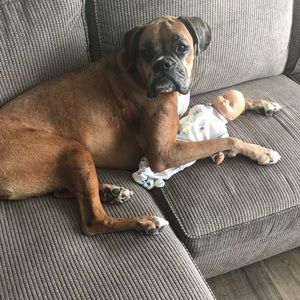 Meet your Posher, Ila